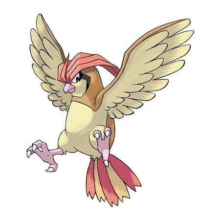 Pidgeotto