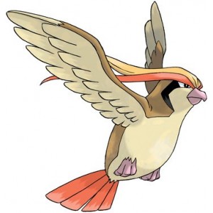 Pidgeot