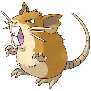 Raticate