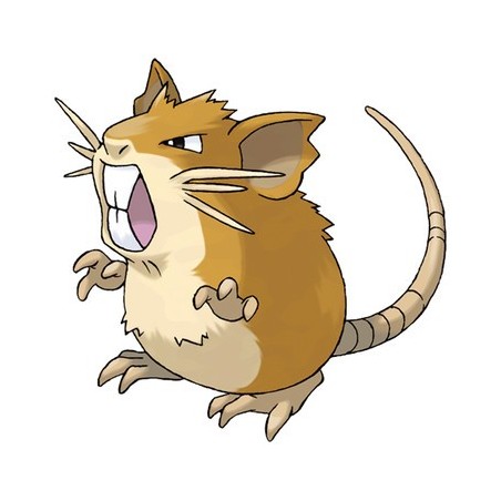 Raticate