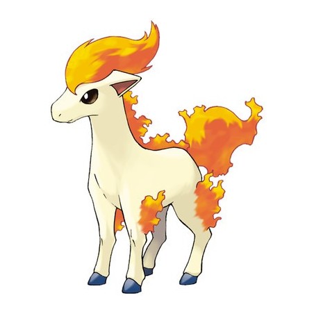 Ponyta