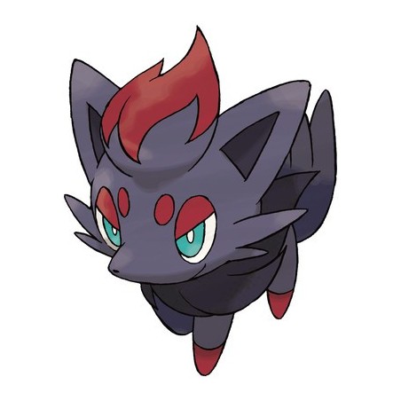 Zorua